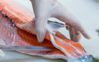 Pericol de Paște, peștele toxic cu peste 70 de paraziți pe tavă