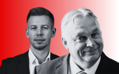 Cum funcționează alegerile în Ungaria: Voturile nu garantează mandate