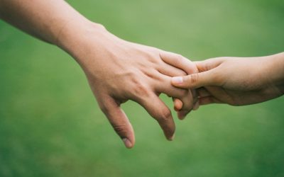 Apară legea parteneriatului civil: Asigurări, bunuri și credite comune