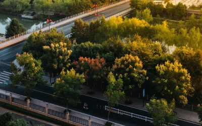 Galati: Păduri urbane noi, cu fonduri PNRR de 3,5 milioane lei