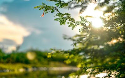 Pielea „iese din iarnă”: ce riscuri aduc primele raze de soare în România