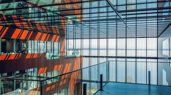 P. MORRIS: „Schimbarea în mișcare”, raportul de valoare pentru 2025