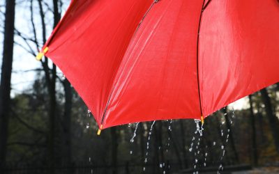 Taxă pentru apa de ploaie: Ce trebuie să știe proprietarii din România despre noile reguli