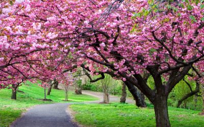 Vreme CALDĂ în România, anunță ANM: Precipitații puține în următoarele patru săptămâni
