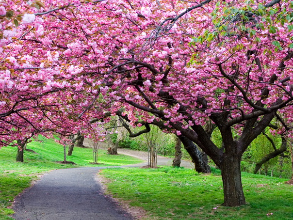 Vreme CALDĂ în România, anunță ANM: Precipitații puține în următoarele patru săptămâni