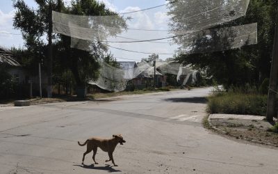 Paște în Ucraina: Frica de noi atacuri după armistițiu. E nevoie de pace