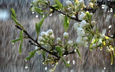 Vremea se strică: Temperaturile scad drastic în week-end, ploi în ce zone