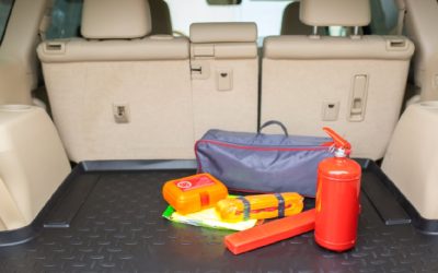 Șofer din Oradea, amendat drastic: Unde erau trusa și stingătorul