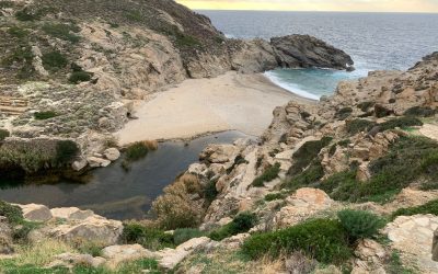 Insula unde oamenii uită de moarte: Secretul longevității, dietă și somn