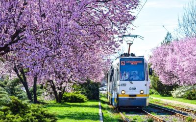 Transport public de paște în București: tramvaiul 41 și liniile de noapte circulă până la 3 dimineața