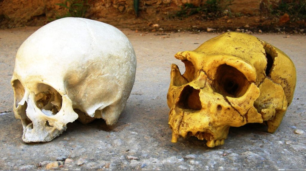 Cum ne influențează NEANDERTHALIENII chiar azi: DNA-ul nostru, moștenirea genetică
