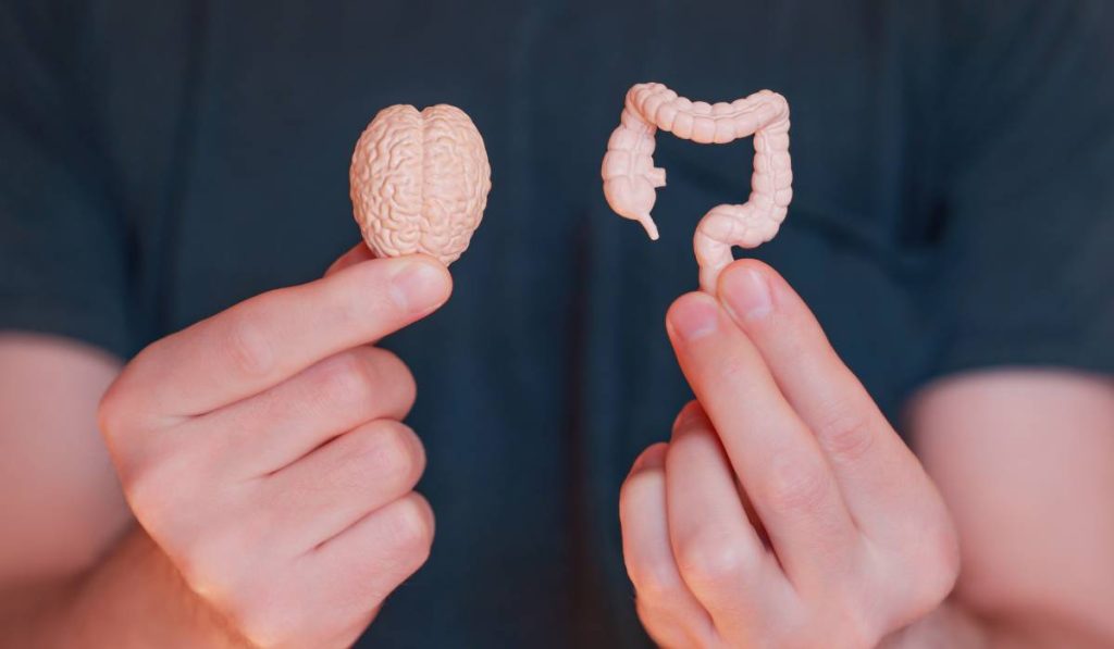 Stresul Sărbătorilor: Cum ne dă peste cap digestia și poftele