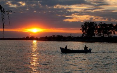 Studio plutitor in Marea Britanie: Tineri atrași de artă, o nouă strategie