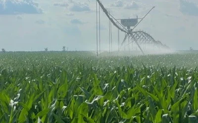 Danezi de la JD Agro Cocora, pe profit după ani de pierderi în România