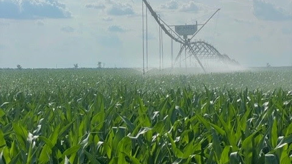 Danezi de la JD Agro Cocora, pe profit după ani de pierderi în România