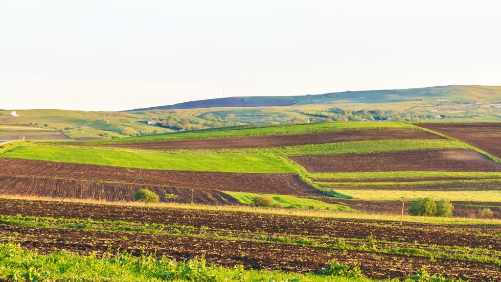 Arenda 2026: Ce drepturi și obligații au fermierii și proprietarii de terenuri?