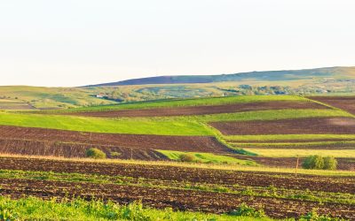 Arenda 2026: Ce drepturi și obligații au fermierii și proprietarii de terenuri?