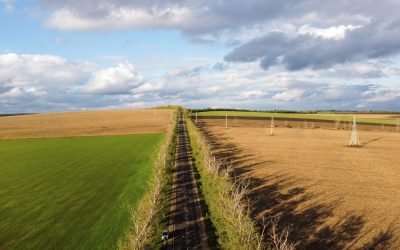 Ocuparea abuzivă a terenului: Ce spune legea și cum îți recuperezi proprietatea