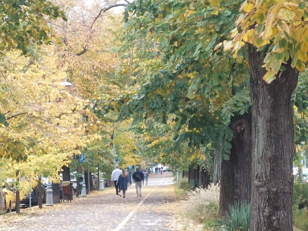 Declic, ATAC la Primăria Sectorului 4: Parcul Trump, o rușine! Cer Maria Cuțarida-Crătunescu