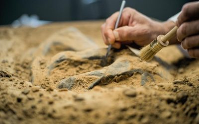 Mormânt spectaculos în Egipt: Mumii cu „limbi” de AUR și artefacte uluitoare