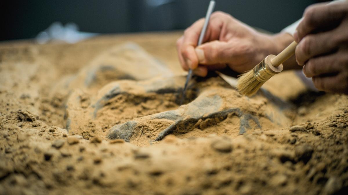 Mormânt spectaculos în Egipt: Mumii cu „limbi” de AUR și artefacte uluitoare