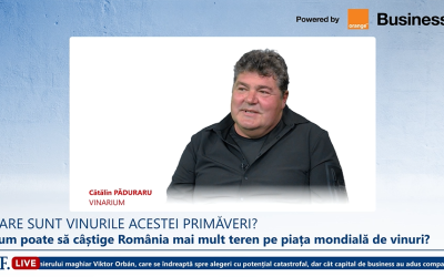 Vinarium Ploiești: 1.600 de vinuri la concurs, majoritatea din străinătate