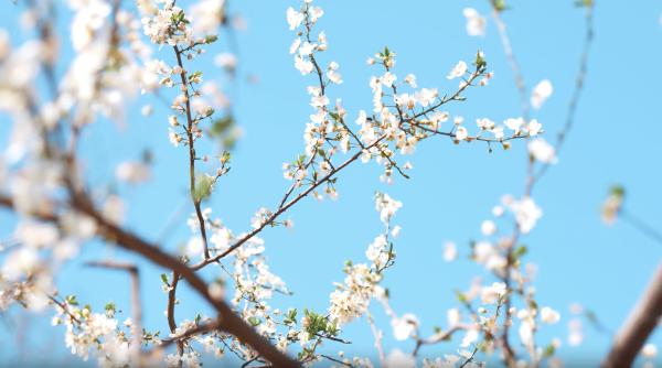 Vremea în București: Prognoza meteo pentru următoarele zile, până pe 22 Aprilie