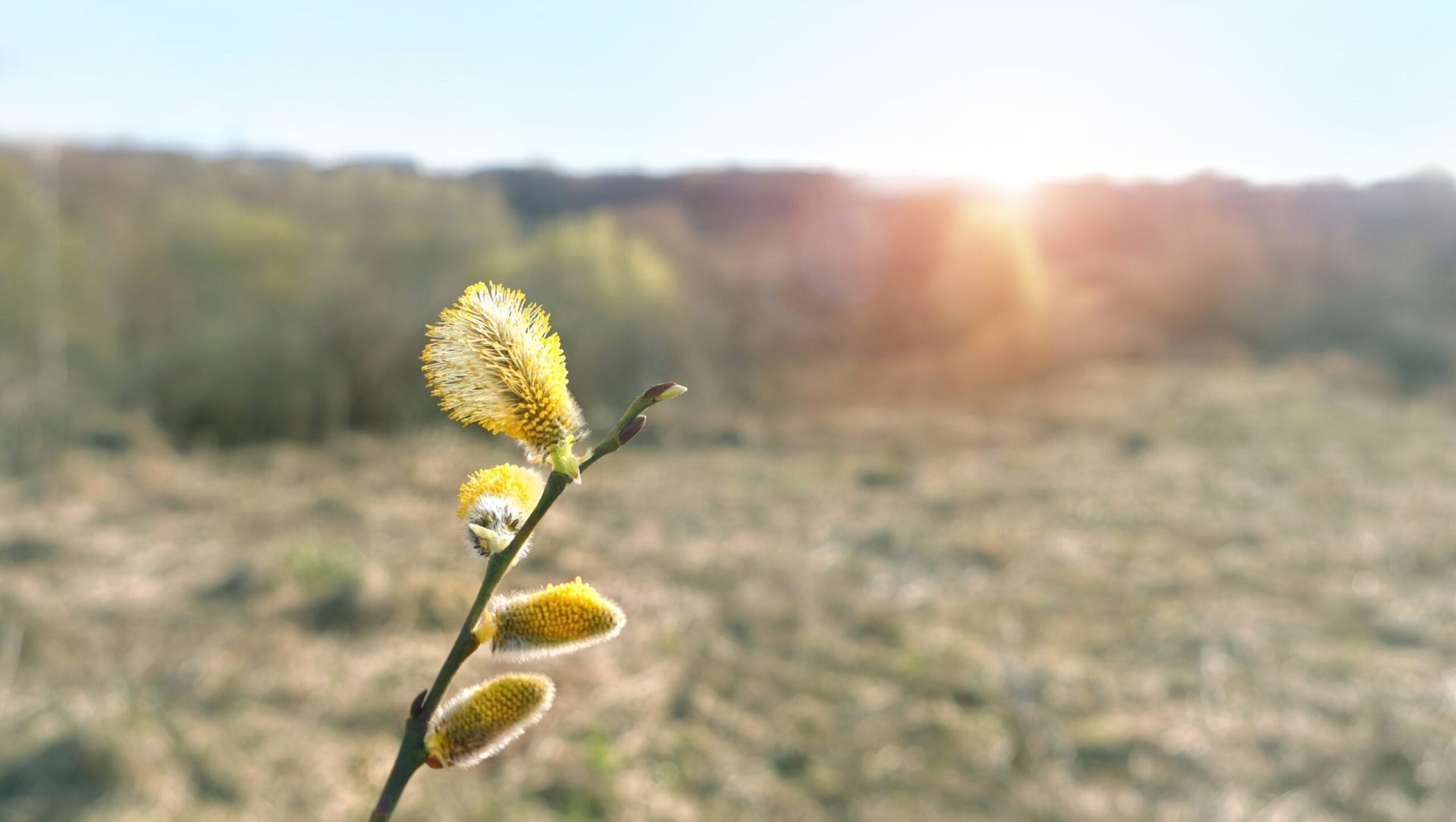Vremea se va răci semnificativ în următoarele două săptămâni, temperaturile minime ajungând chiar și la -7 grade Celsius în anumite zone, după un început de perioadă mai cald
