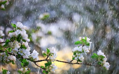 Meteo: Vreme capricioasă de 1 Mai în România. Frig și ploi în majoritatea zonelor