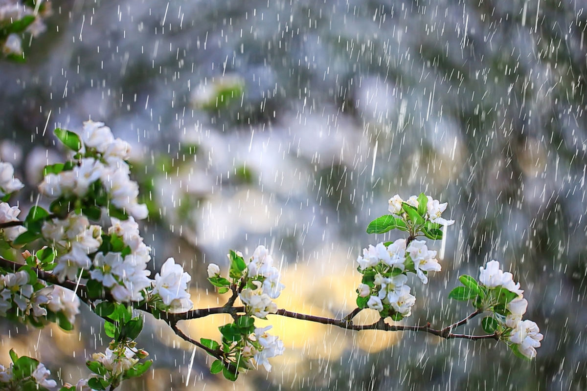 Meteo: Vreme capricioasă de 1 Mai în România. Frig și ploi în majoritatea zonelor