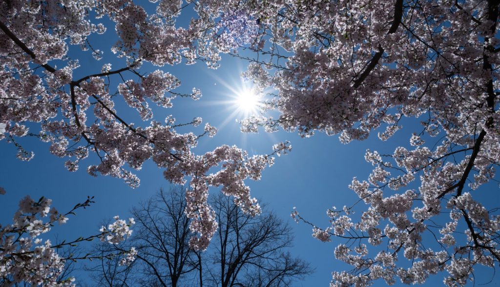 Vremea de 1 Mai: Avertismentul meteorologilor pentru România