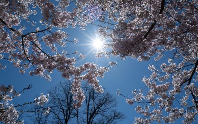 Vremea de 1 Mai: Avertismentul meteorologilor pentru România