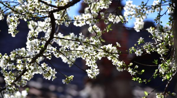 Vremea se răcește înainte de Sărbătorile Pascale, conform ANM ANM a emis o prognoză meteo valabilă până pe 4 mai, indicând o răcire accentuată a temperaturilor în următoarele săptămâni