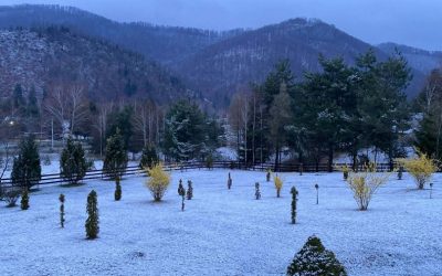 Bihorenii au parte de o surpriză de iarnă în prag de Paște Locuitorii din zonele montane ale județului Bihor, dar și cei care au ales să petreacă vacanța de Paște la munte, s-au trezit joi dimineață într-un peisaj feeric, acoperit de zăpadă