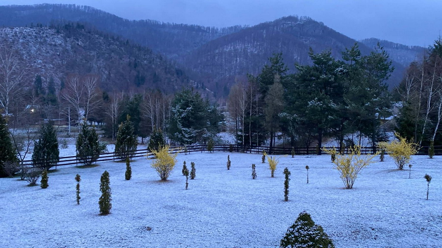 Zăpadă la miezul lui aprilie: Ninsoare neașteptată în munții din Bihor