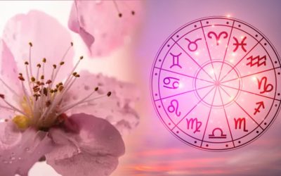 Tauri: Ruptură dură, Fecioare, zi de AUR. Horoscopul zilei, 15 aprilie 2026