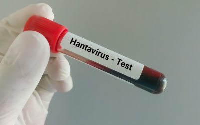 Hantavirus: Pompier de la ISU Caraș-Severin, suspect de infecție după ce a fost în Serbia