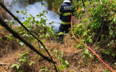 Incendiu de pădure în Caraș-Severin: Un nou focar a izbucnit