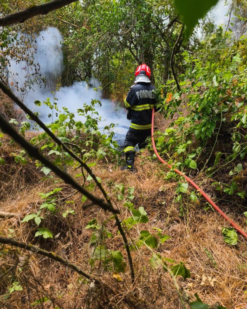 Incendiu de pădure în Caraș-Severin: Un nou focar a izbucnit