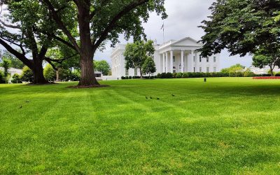 Finanțarea sălii de bal a lui Donald Trump, la Casa Albă, blochează Senatul