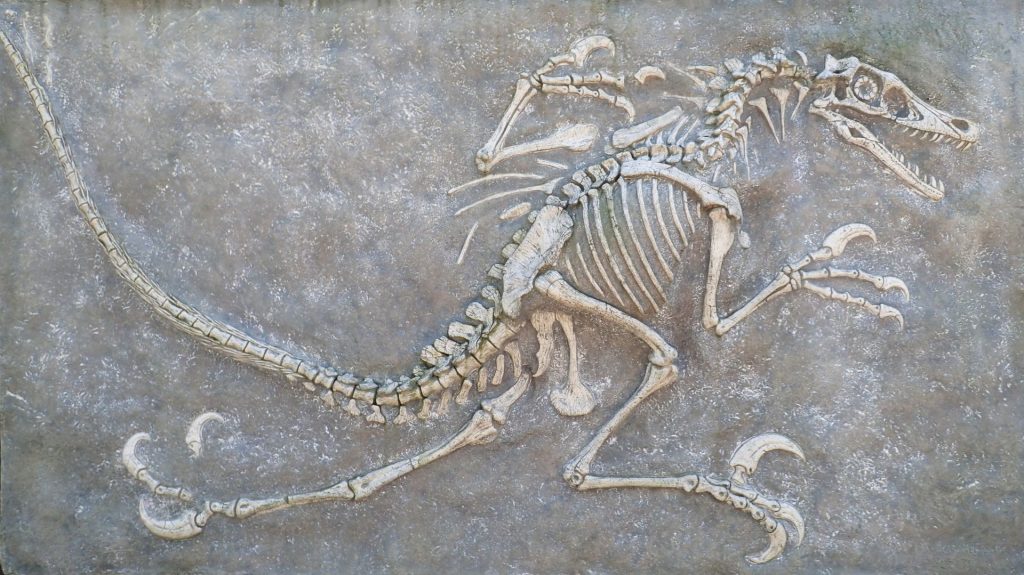 Vase de sânge în oasele de T Rex: Uimitor! Ce schimbă despre dinozauri