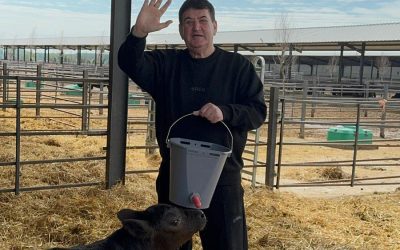 Oprea, afacere de 5 milioane € la o fermă Gigi Nețoiu: A cumpărat 15%
