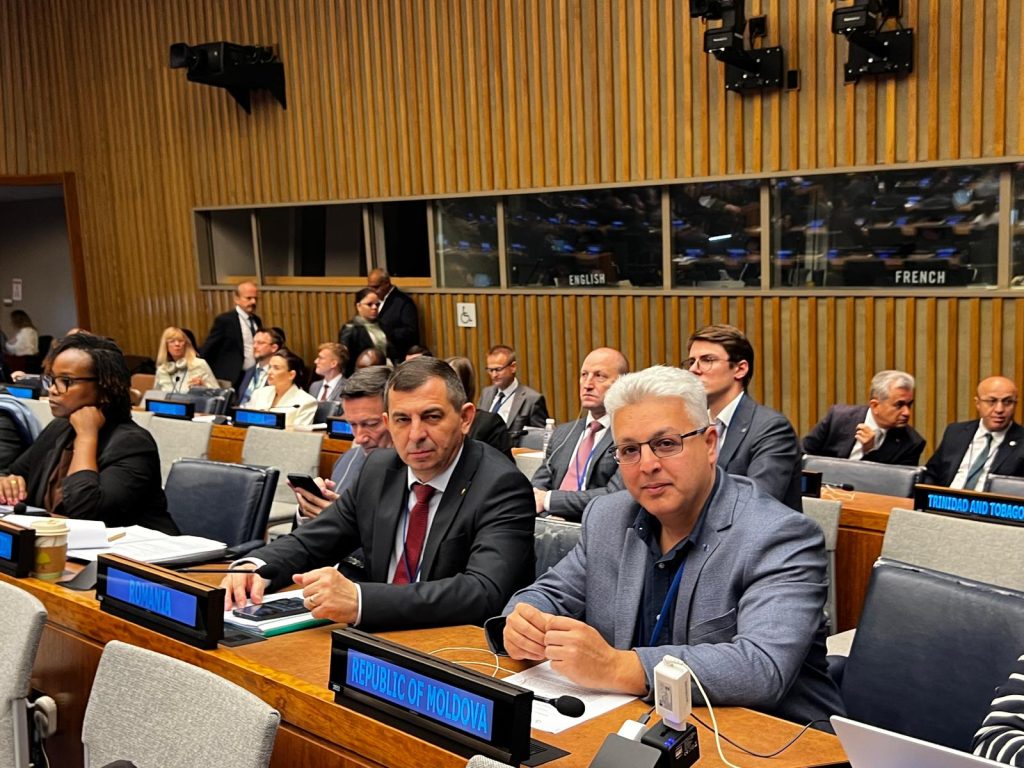 Silva și Meridian, la Forumul ONU pentru Păduri – UNFF21
