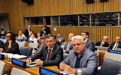 Silva și Meridian, la Forumul ONU pentru Păduri – UNFF21
