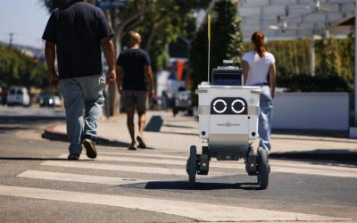 Roboții înfurie locuitorii unui oraș american: Milă și ură pentru livrări