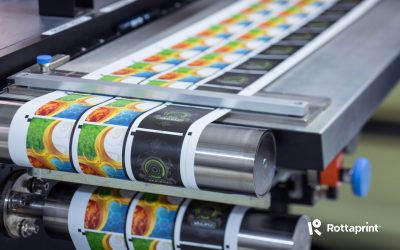 Rottaprint bagă 5 milioane de euro în 2026: producție și sustenabilitate