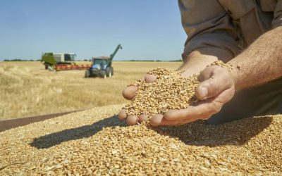 Acordul UE-Mercosur: Ce aduce agricultorilor români piața uriașă