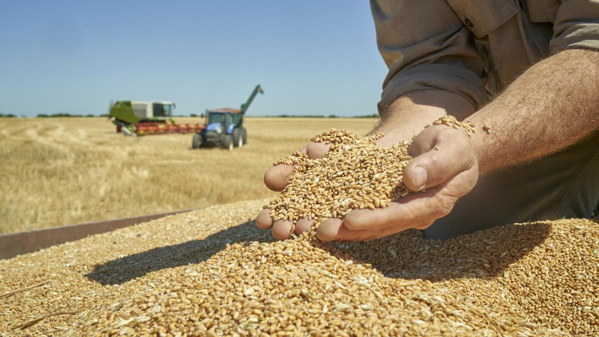 Acordul UE-Mercosur: Ce aduce agricultorilor români piața uriașă
