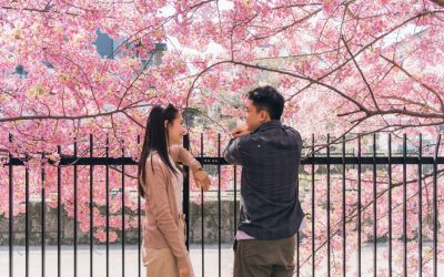 Japonia, ajutor financiar pentru aplicațiile de dating, destinat singuraticilor