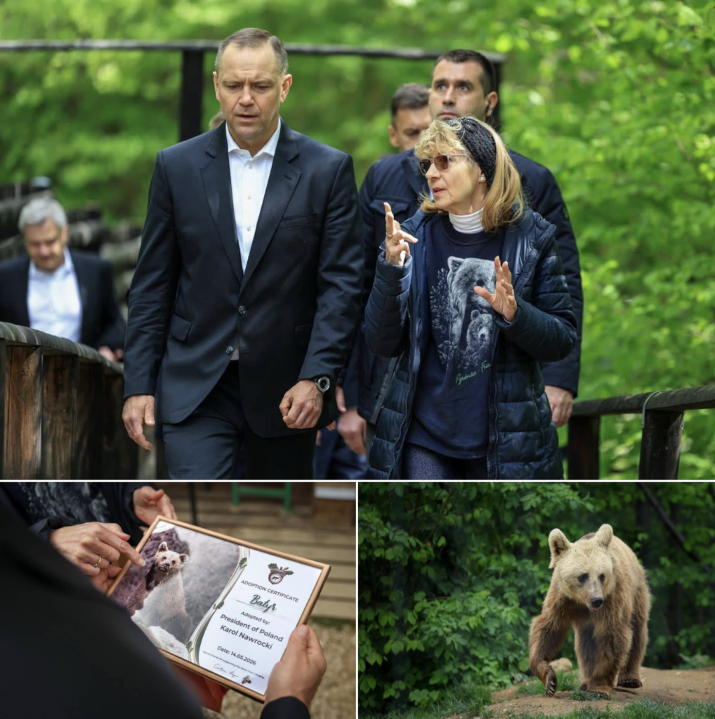 Președintele Poloniei, gest neașteptat în România: a adoptat un urs pe nume Batyr